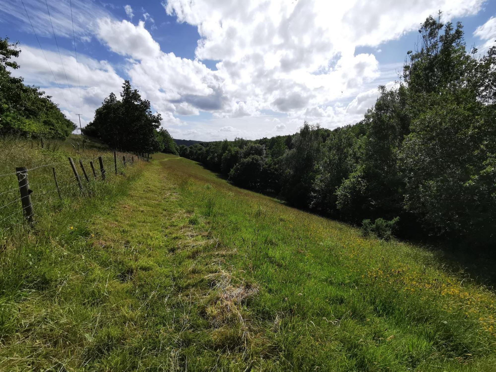 Narracott Down Villa South Molton Exteriör bild