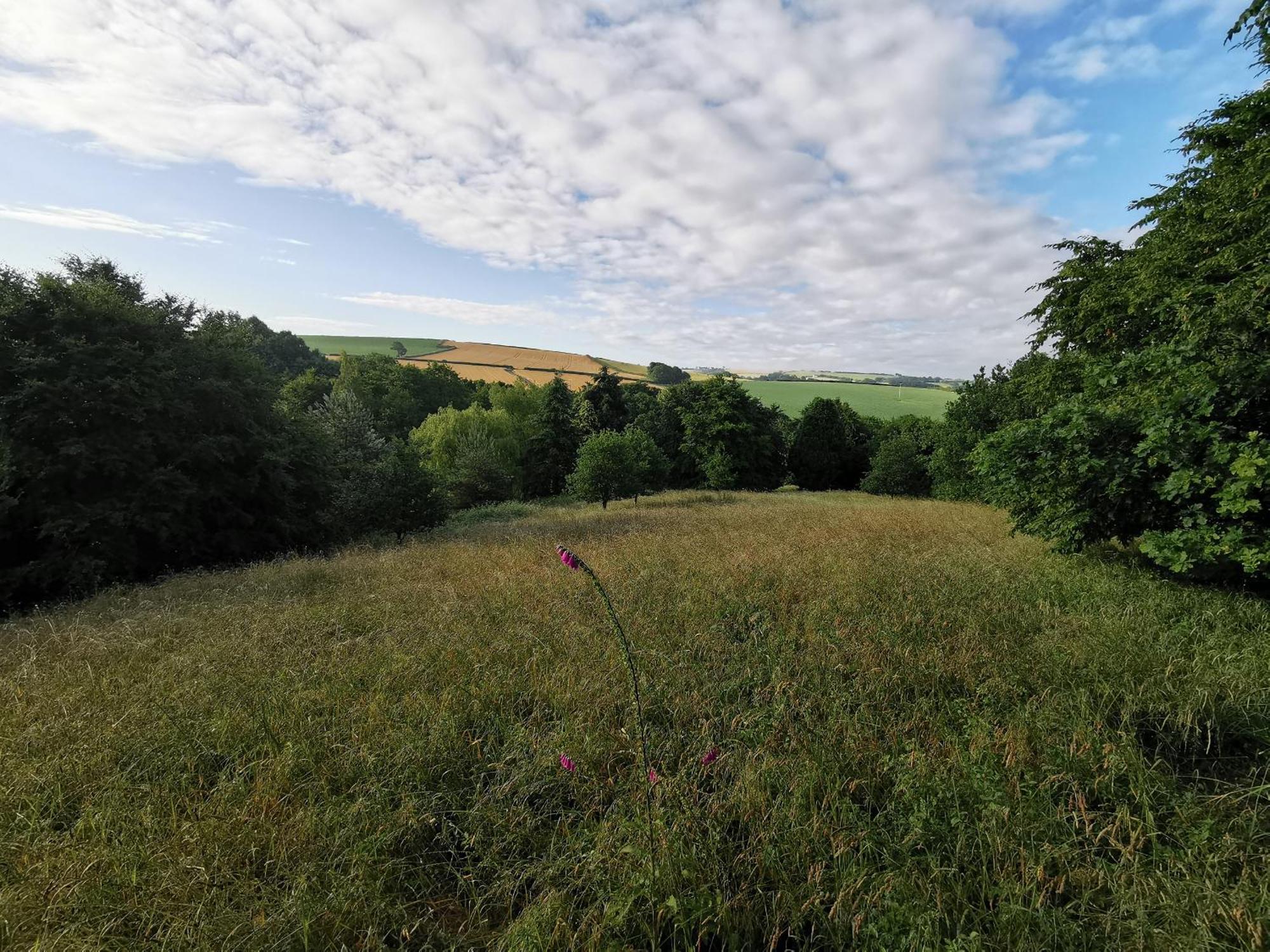 Narracott Down Villa South Molton Exteriör bild