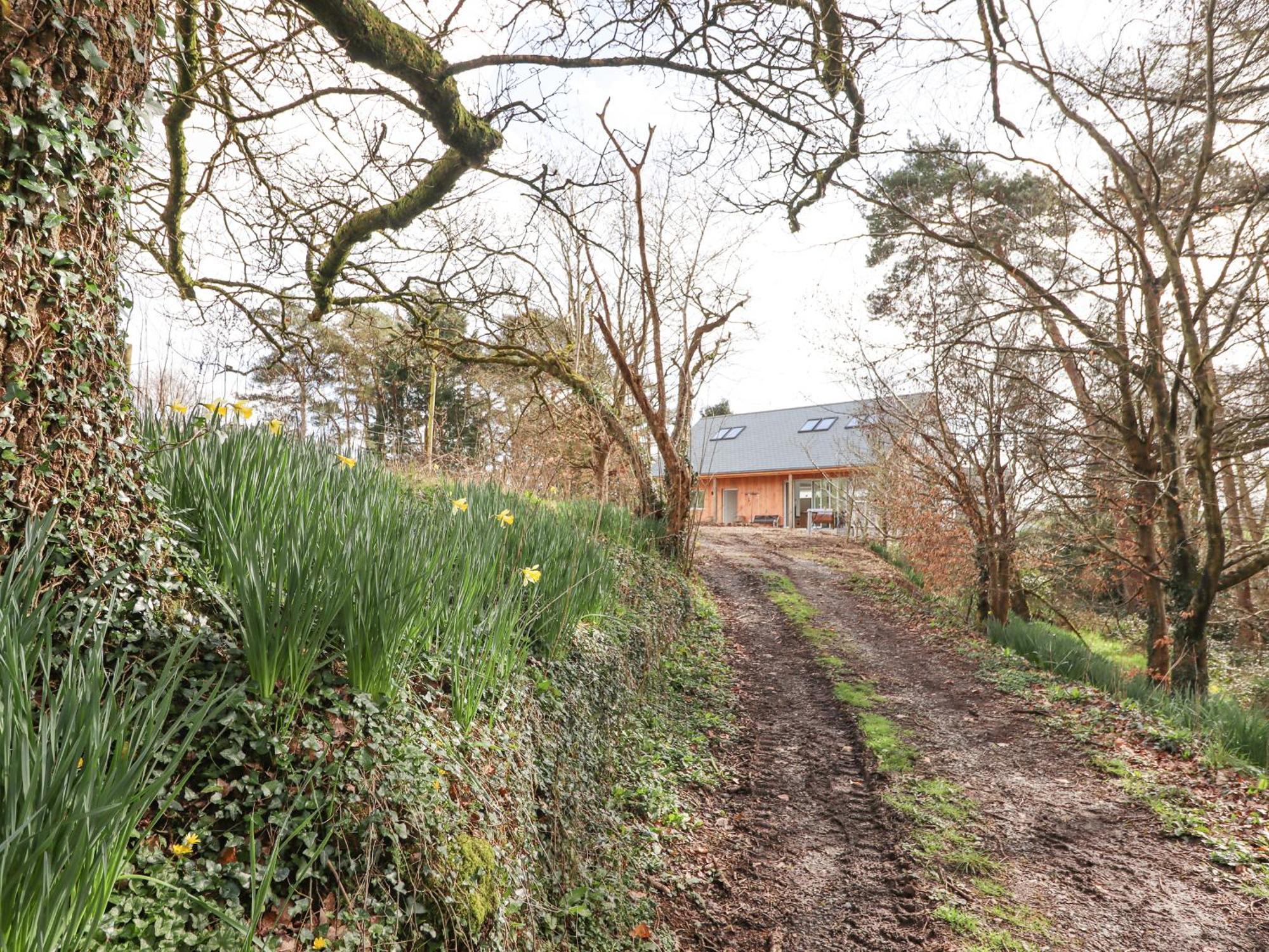 Narracott Down Villa South Molton Exteriör bild