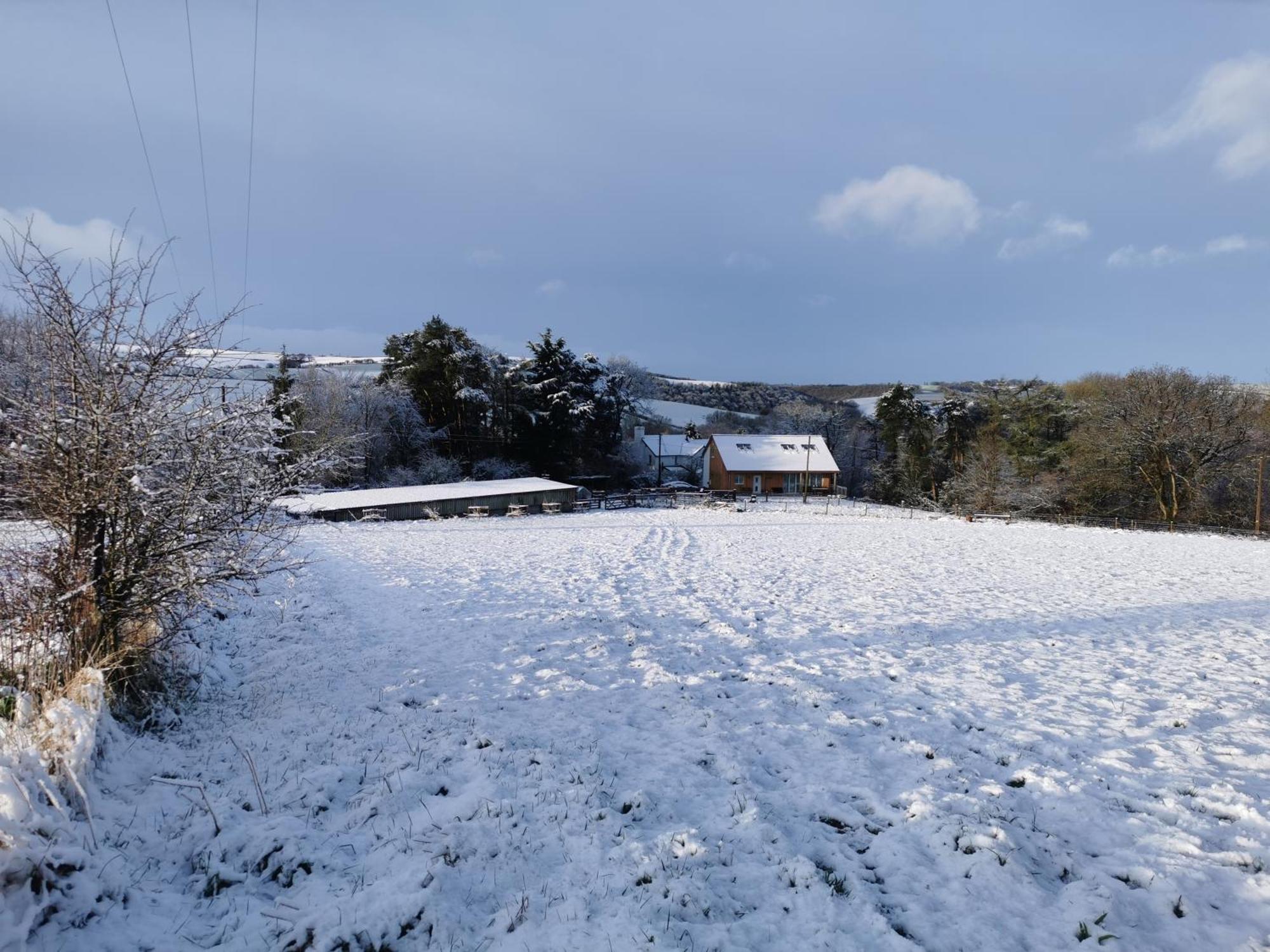 Narracott Down Villa South Molton Exteriör bild