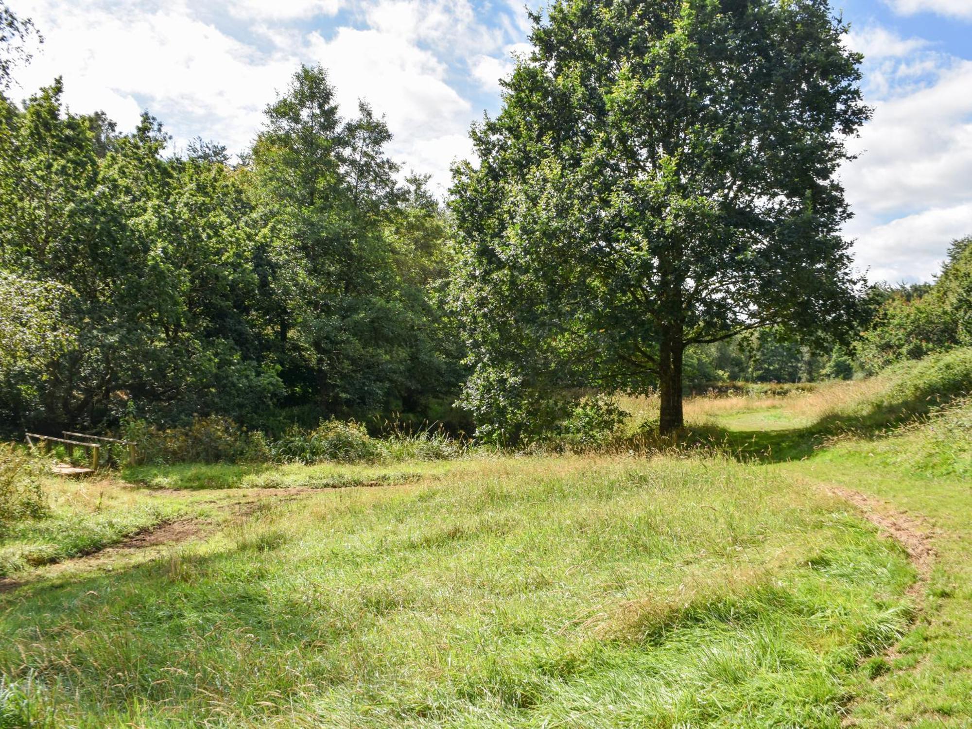 Narracott Down Villa South Molton Exteriör bild